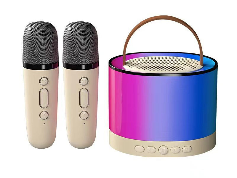 Wireless Bluetooth Portable Speaker(Double Microphone)High Configuration