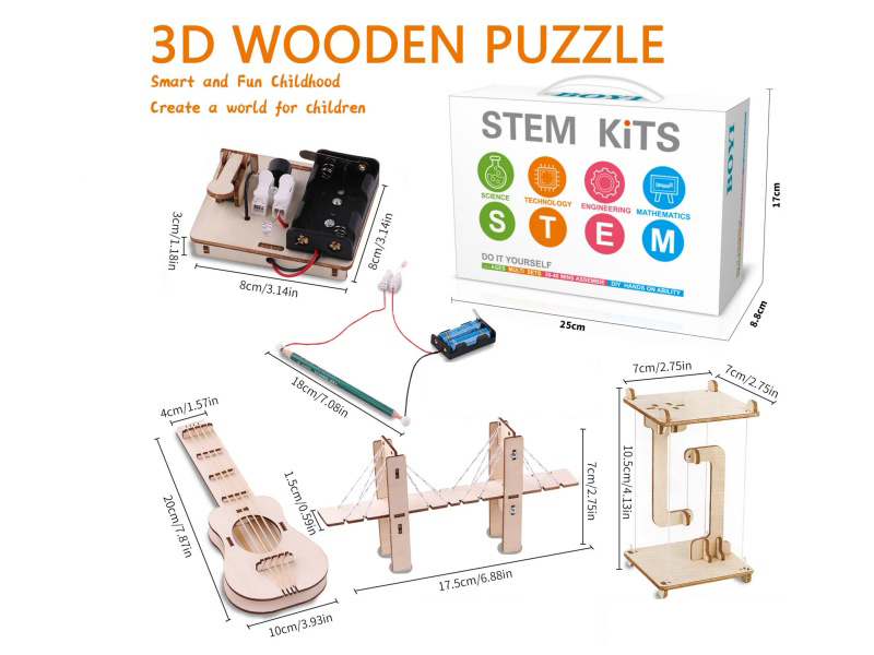 DIY Wooden Puzzle Science And Educational Toys 5PCS