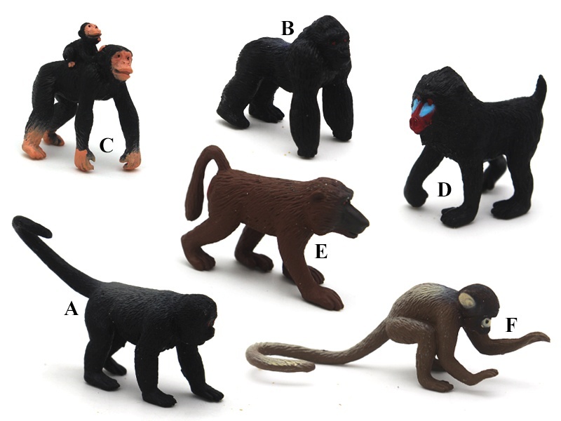 6 Mini Monkeys (A Hairy Monkey +B Gorilla +C Chimpanzee With Cubs +D Mandrill +E Baboon +F Squirrel Monkey)