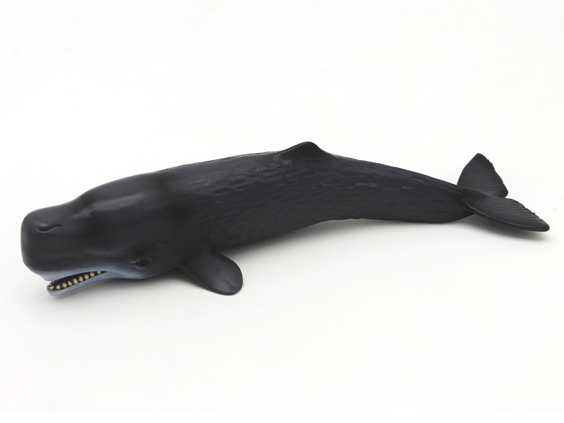Fragrant Whale