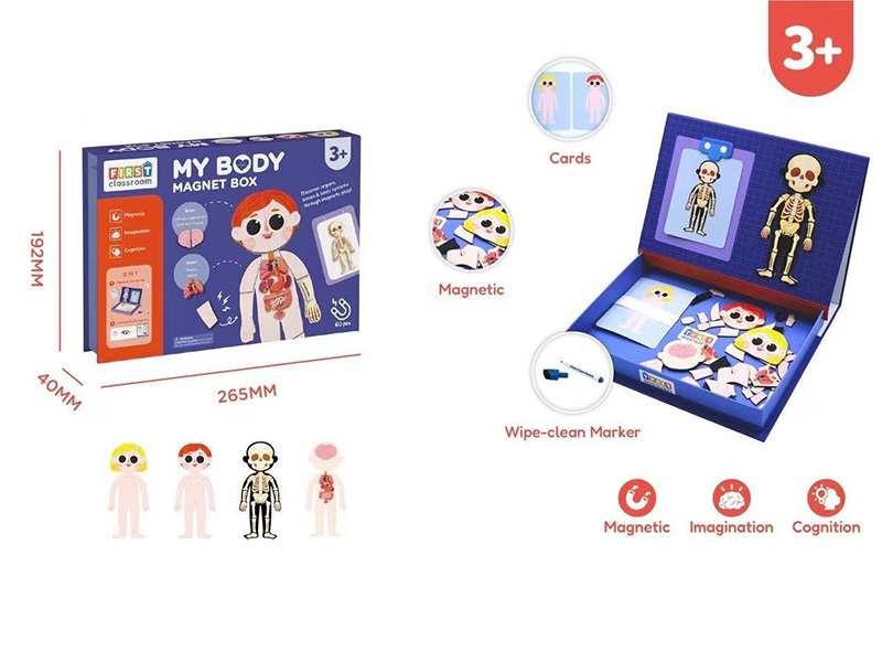 My Body Puzzle Magnetic Box