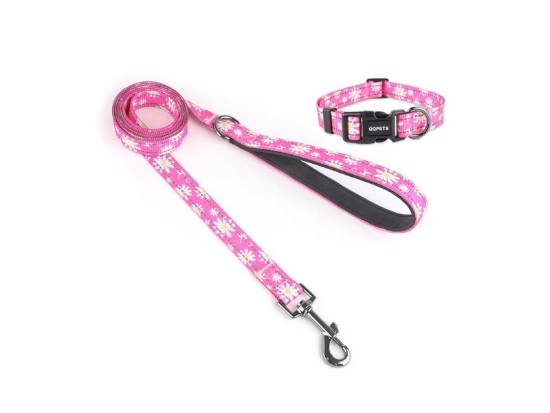 Reflective Strip Series Pet Collar And Leash Set