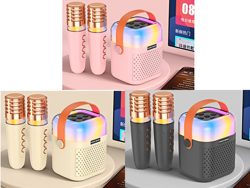 Wireless Bluetooth Microphone Karaoke Speaker(Double Microphone)