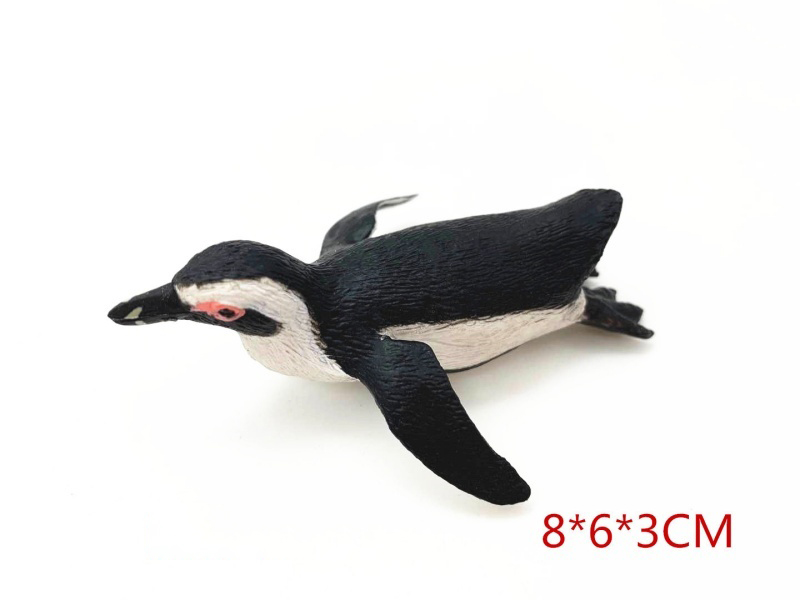 South African Penguin