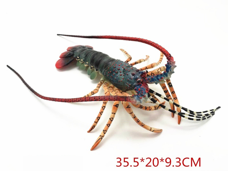 Lobster