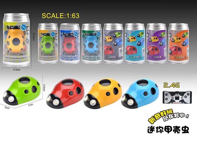Beetle Mini R/C Car