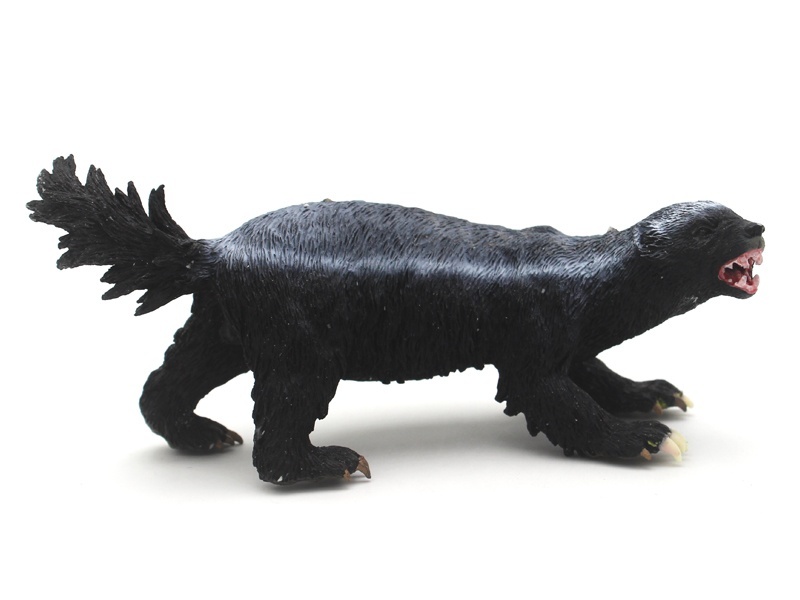Honey Badger
