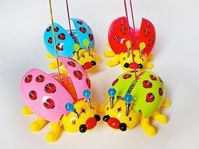 Tied Beetle
