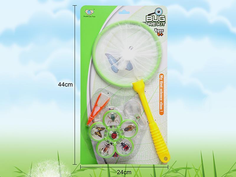 Insect Toy