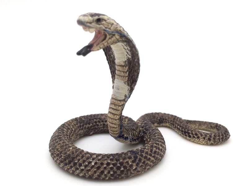 Cobra