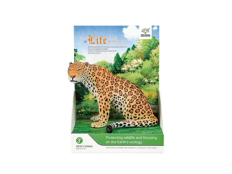 Leopard Flower