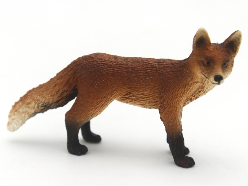Fox