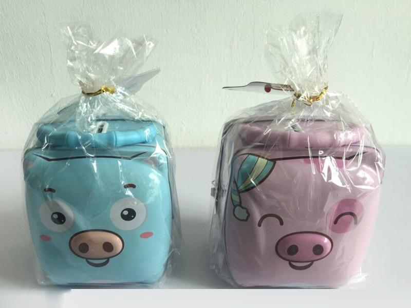 Iron Piggy Bank