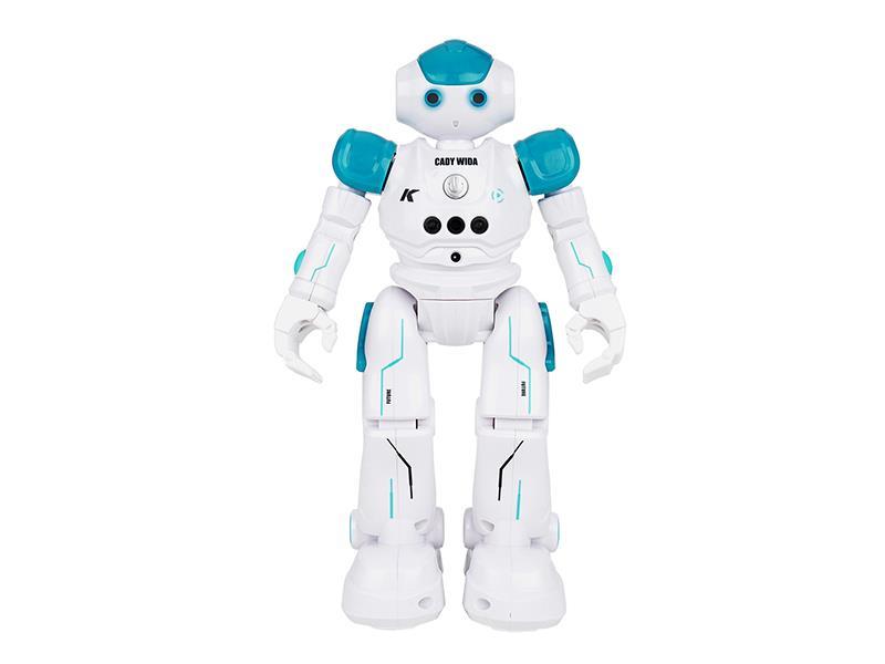 Intelligent Induction Interactive Robot