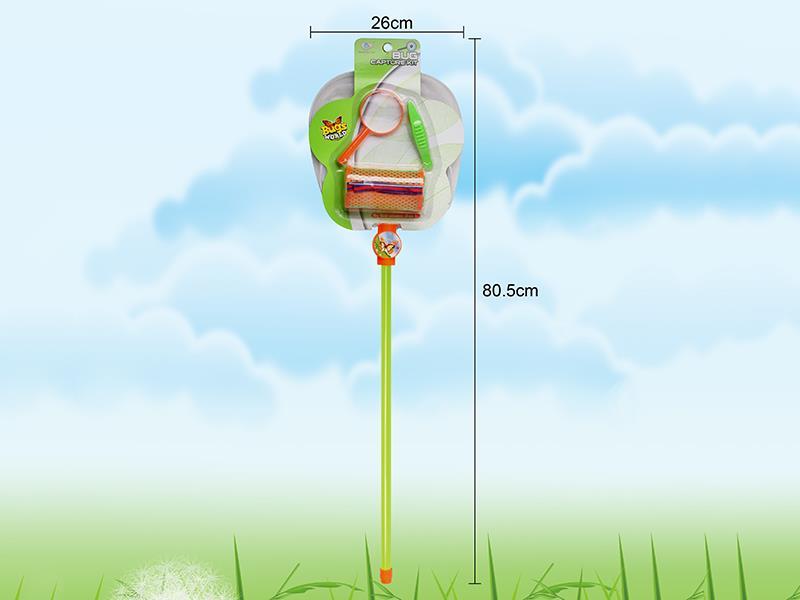 Insect Toy