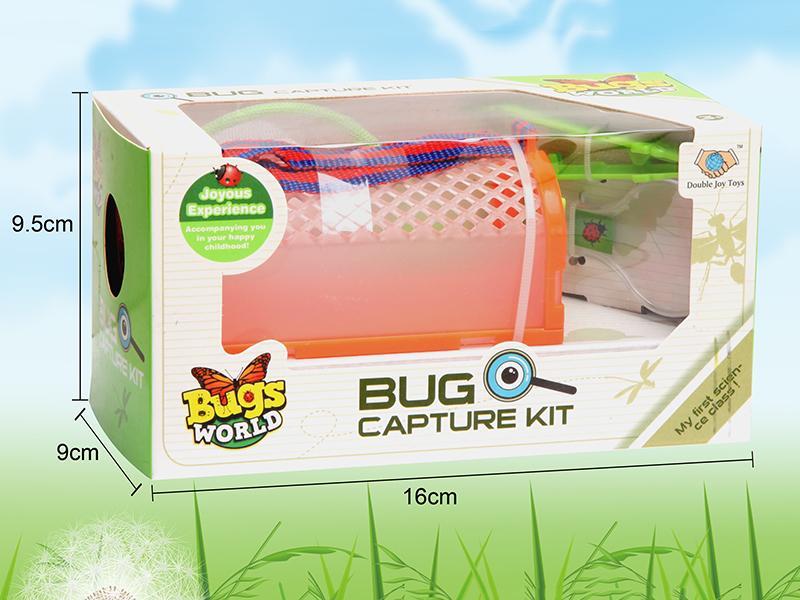 Insect Toy
