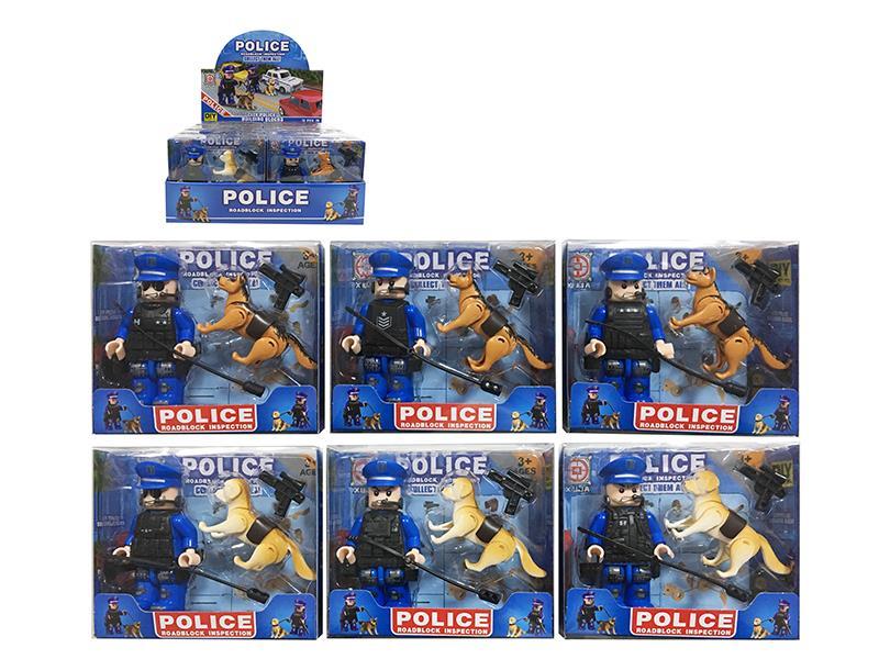 Police Roadblock Inspection