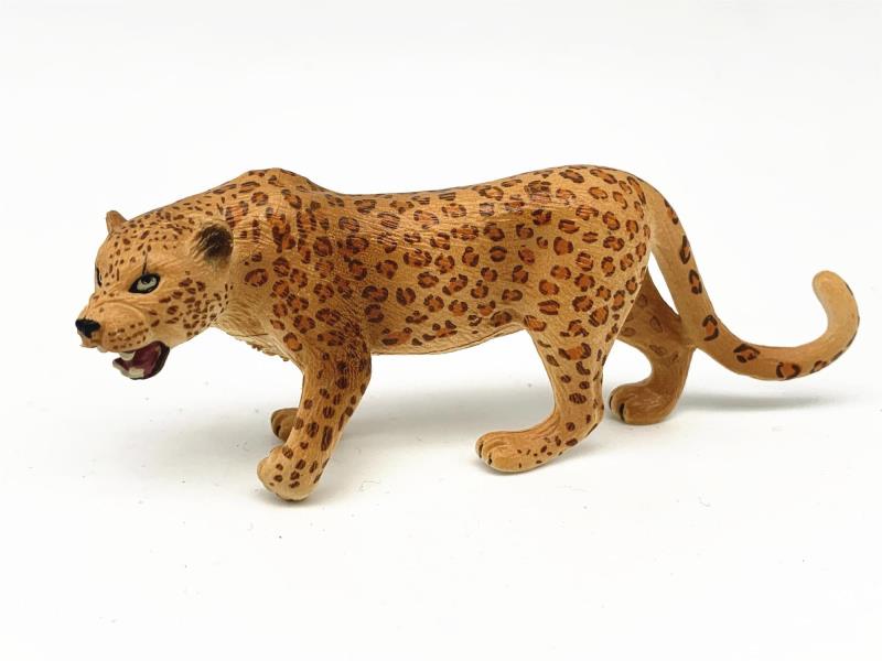 The Jaguar Roars