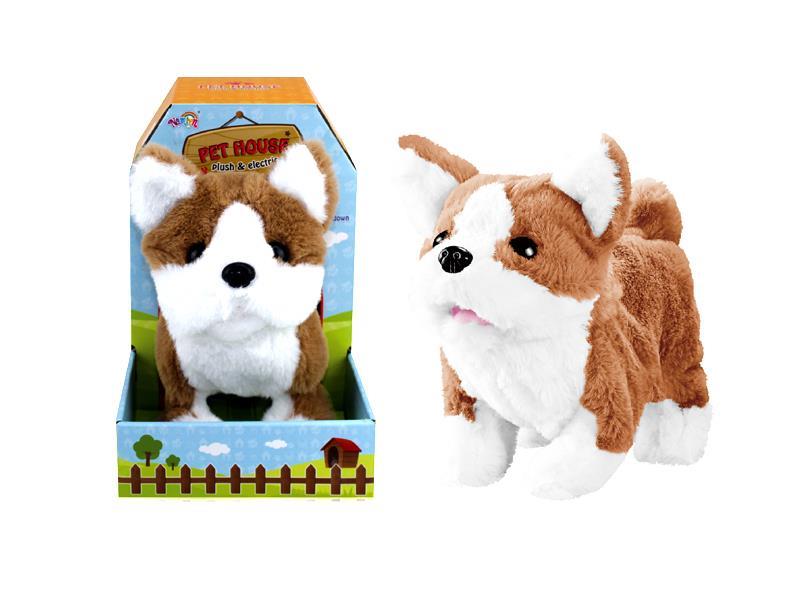 B/O Koki Dog