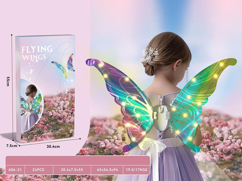 Flying Wings