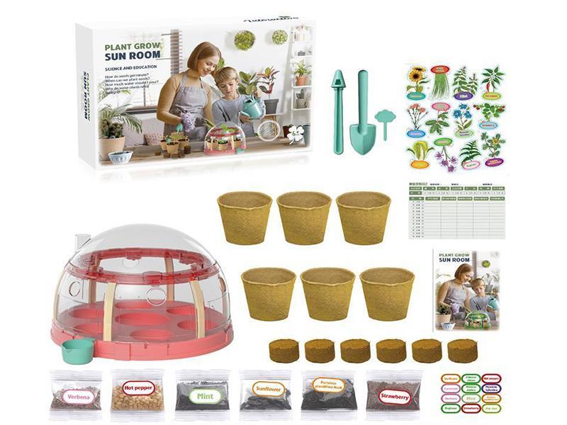 Plant Grow Sun Room