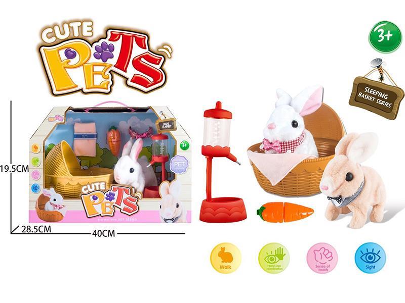 Cute Rabbit Set