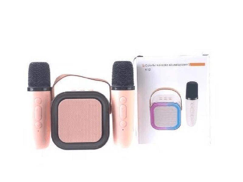 Karaoke Speaker Set