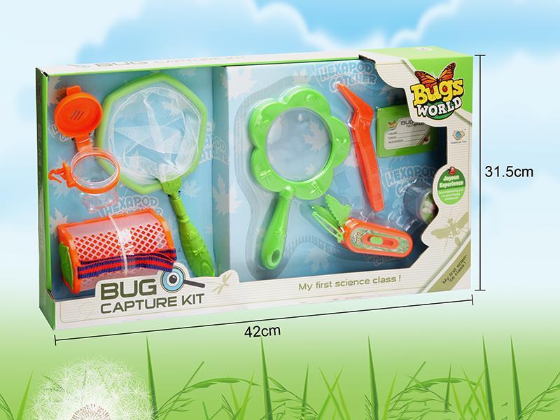 Insect Toy