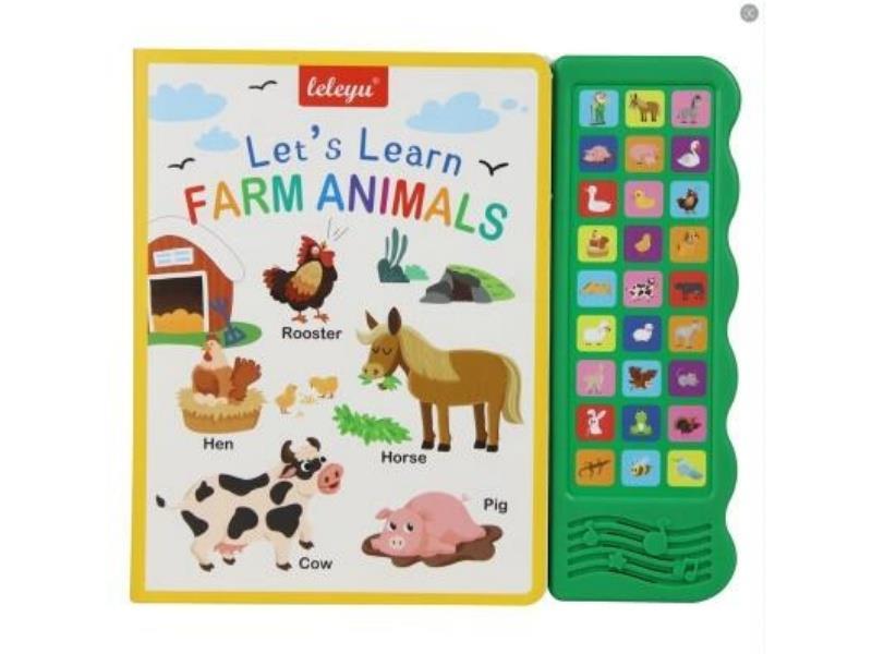 There Are Sound Card Books In English