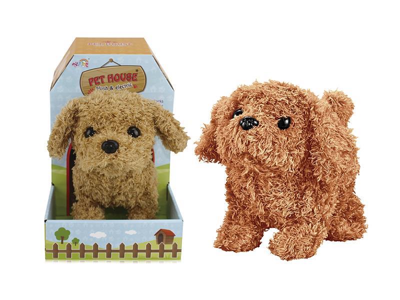 B/O Teddy Dog