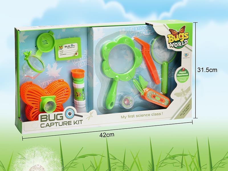 Insect Toy