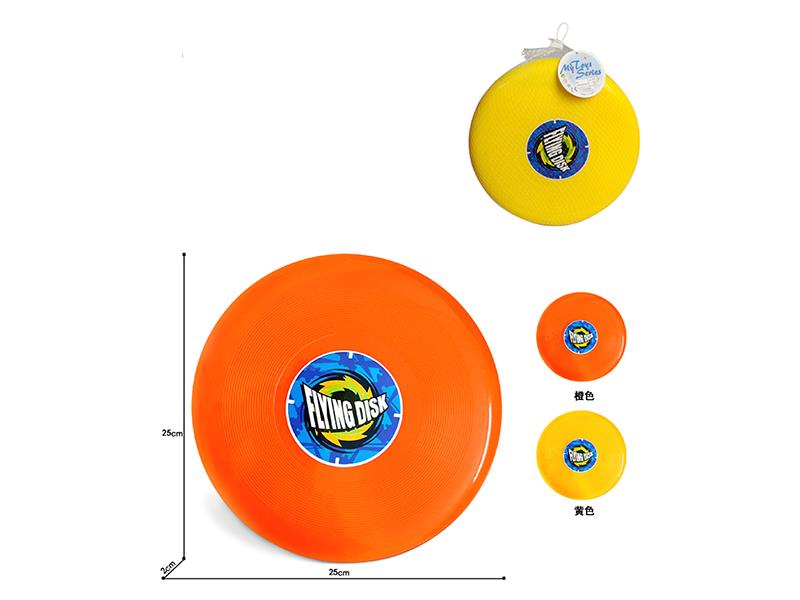 25cm Frisbee Toy