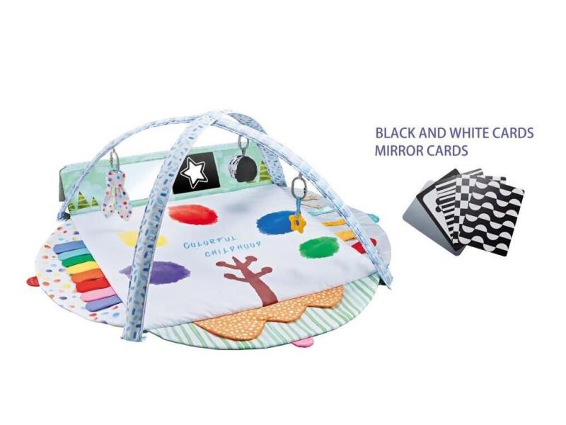 Baby Sensory Fitness Play Mat