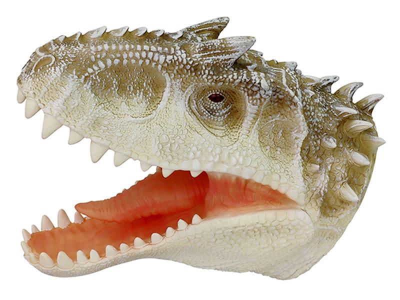 8.5