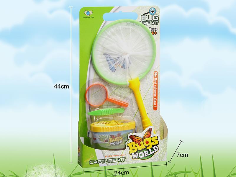 Insect Toy
