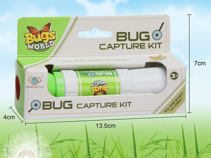 Insect Toy