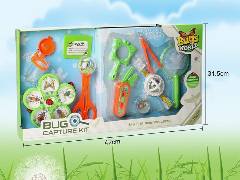 Insect Toy