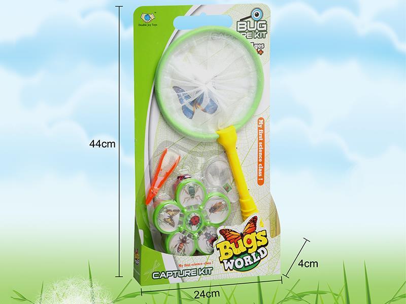 Insect Toy