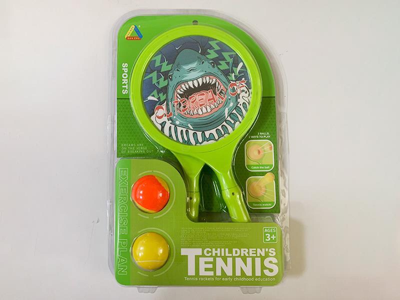 Sticky Ball Racket