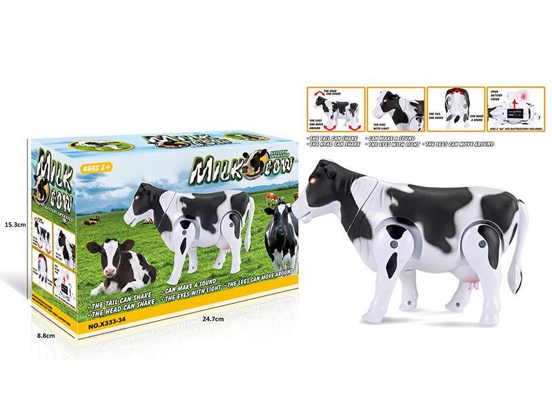 B/O Cow