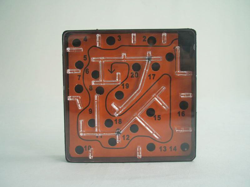 INTELLIGENCE MAZE