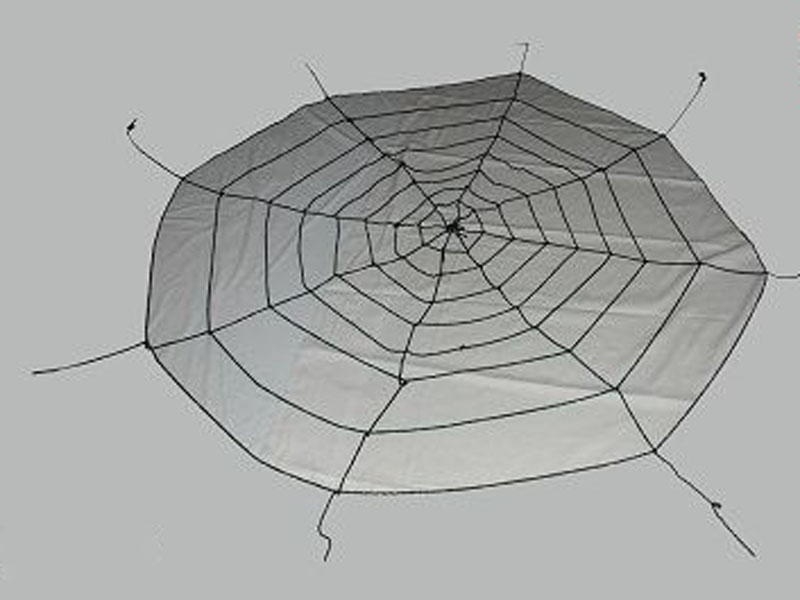 5M spider web