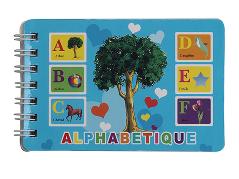 Educational Toy