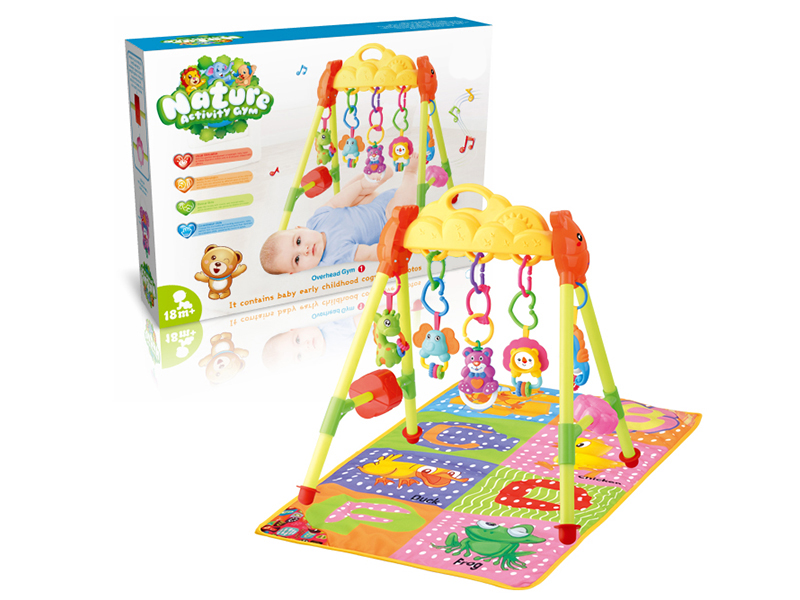 Baby Carpet Playing Gym(ENGLISH)