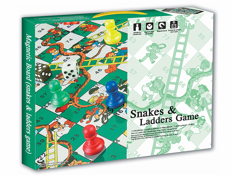 Magnetic Snakes & Ladders