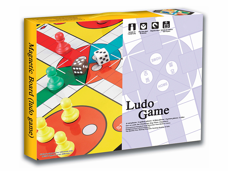 Magnetic Ludo