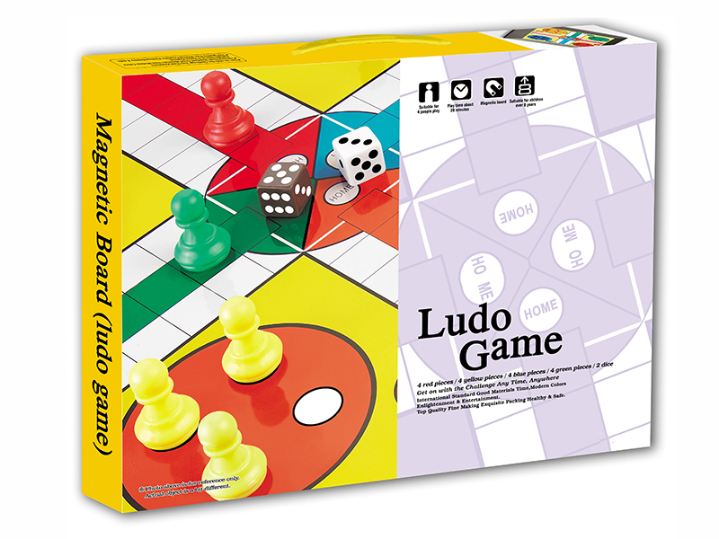 Magnetic Ludo