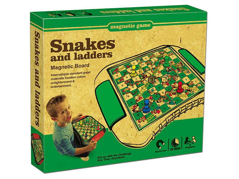 Magnetic Snakes & Ladders