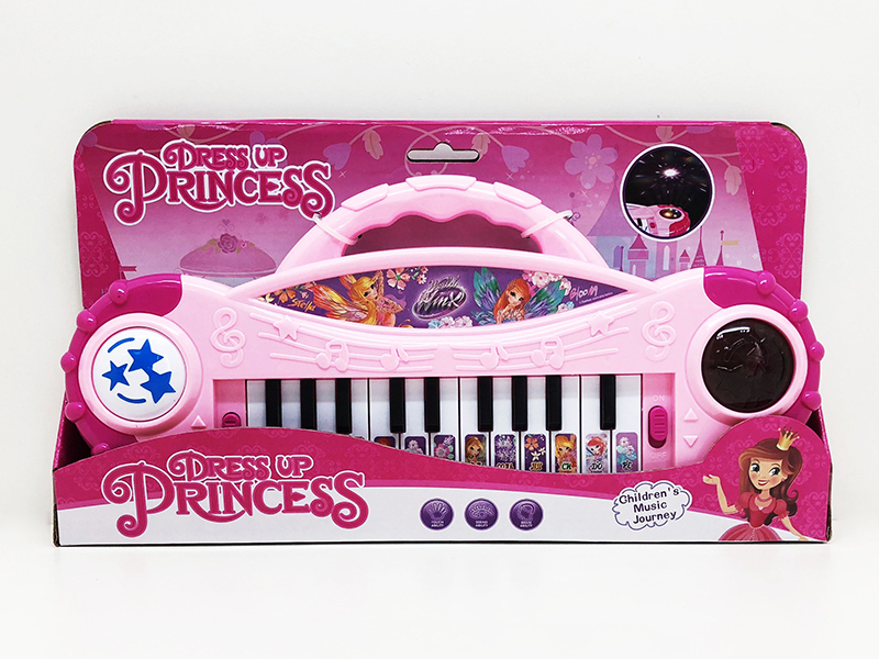 Electronic Organ