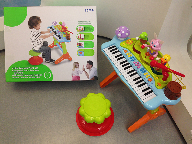 Multi-function Electronic Organ